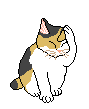 catbeer1.gif